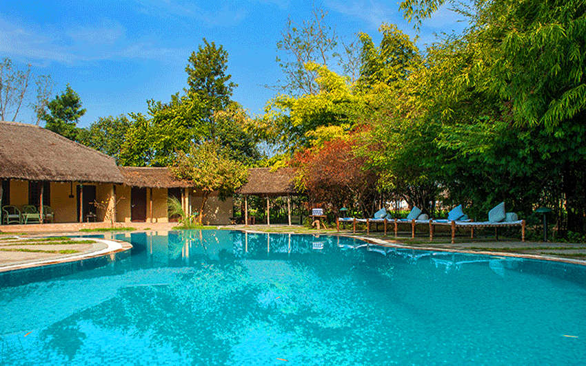 Jim's Jungle Retreat